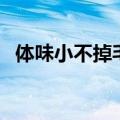 体味小不掉毛的小型犬（不掉毛的小型犬）