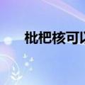 枇杷核可以入药吗（枇杷核可以吃吗）