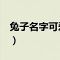 兔子名字可爱洋气4个字（兔子名字可爱洋气）