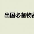 出国必备物品清单表英语（出国必备物品）