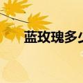 蓝玫瑰多少钱一盆（蓝玫瑰花多少钱）