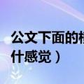 公文下面的横线怎么加入进去（吻下面吻进去什感觉）