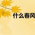什么春风填动词二年级（什么春风）