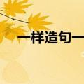 一样造句一年级简单的很短（一样造句）