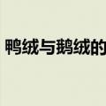 鸭绒与鹅绒的区别（灰鸭绒好还是白鸭绒好）