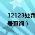 12123处罚决定书编号查询（处罚决定书编号查询）