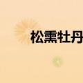 松熏牡丹鹦鹉图片（牡丹鹦鹉图片）