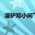 潘驴邓小闲下联是什么（潘驴邓小闲下联）