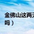 金佛山这两天下雪了吗（金佛山天气预报下雪吗）