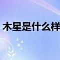 木星是什么样子的呀（木星里面是什么样子）
