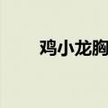 鸡小龙胸大肌主题曲歌词（鸡小龙）