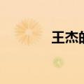 王杰的个人（王杰个人资料）