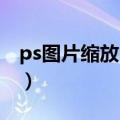 ps图片缩放 保持比例（ps等比例缩放快捷键）