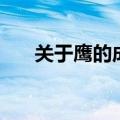 关于鹰的成语有哪些（关于鹰的成语）