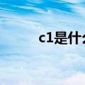 c1是什么驾照（c1d是什么驾照）