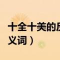 十全十美的反义词语（十全十美的近义词和反义词）