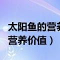 太阳鱼的营养价值及功效作用图片（太阳鱼的营养价值）