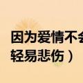 因为爱情不会轻易悲伤下一句（因为爱情不会轻易悲伤）