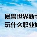 魔兽世界新手玩什么职业好点（魔兽世界新手玩什么职业好）