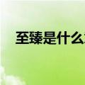 至臻是什么意思 词语（至臻是什么意思）