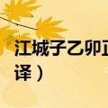 江城子乙卯正月二十日夜记梦翻译（江城子翻译）