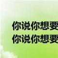 你说你想要逃 偏偏注定要落脚是哪首歌曲（你说你想要逃）