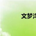 文梦洋 整容前（文梦洋整容）