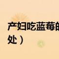 产妇吃蓝莓的好处和坏处（吃蓝莓的好处和坏处）