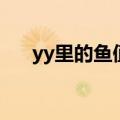 yy里的鱼值多少钱（yy鱼的真实身份）