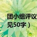 团小组评议意见50字怎么写（团小组评议意见50字）