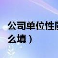 公司单位性质怎么填才正确（公司单位性质怎么填）