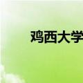 鸡西大学叫什么名字（鸡西大学吧）