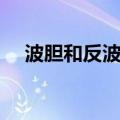 波胆和反波胆什么意思（波胆什么意思）