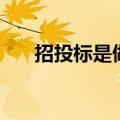 招投标是做什么（招投标是什么工作）