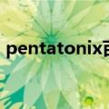 pentatonix百科（pentatonix女的叫什么）