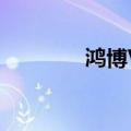 鸿博V9监控手机（鸿博v8）