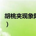 胡桃夹现象阳性有什么临床意义（胡桃夹现象）
