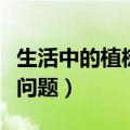 生活中的植树问题手抄报数学（生活中的植树问题）