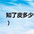 知了皮多少钱一斤2023（知了皮多少钱一斤）