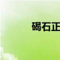 碣石正车行大林（碣石正车行）
