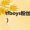 tfboys粉丝俱乐部注册（tfboys粉丝俱乐部）
