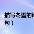描写冬雪的诗句有哪些六年级（描写冬雪的诗句）