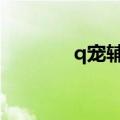 q宠辅助软件（qq宠物辅助）