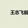 王志飞前妻李健近照（王志飞前妻）