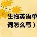 生物英语单词怎么写creation（生物英语单词怎么写）