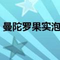 曼陀罗果实泡酒外擦有什么功效（曼陀罗果）
