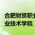 合肥财贸职业技术学院占地面积（合肥财贸职业技术学院）