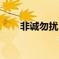 非诚勿扰 见或者不见（见或者不见）