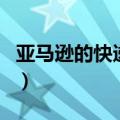 亚马逊的快递单号怎么查询（亚马逊快递查询）