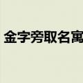 金字旁取名寓意好的字男宝宝（金字旁取名）